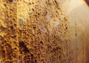 丸中醤油1