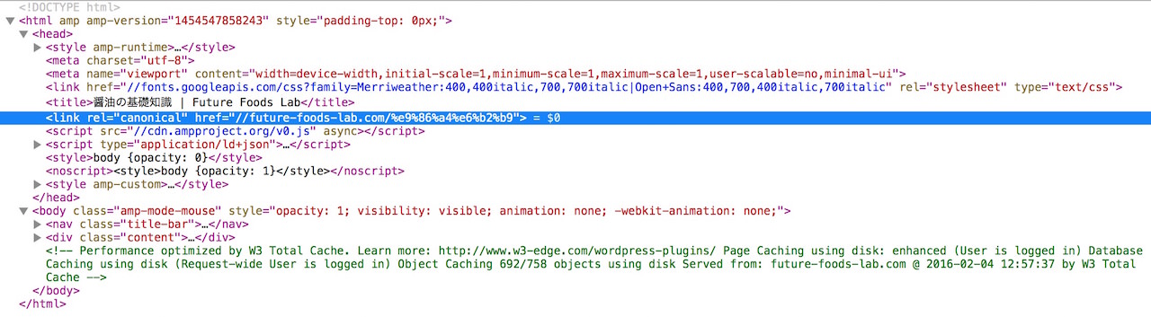 wordpress_AMP6